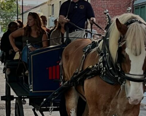 Charleston Haunted Evening Carriage Tour