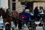 Charleston Haunted Evening Carriage Tour