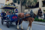 Charleston Haunted Evening Carriage Tour