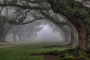 New Orleans Guided Oak Alley Plantation Tour