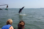 Hilton Head Island Kayaking and Boat Tour