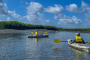 Hilton Head Island Kayaking and Boat Tour