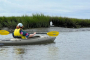 Hilton Head Island Kayaking and Boat Tour