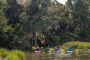 Hilton Head Island Kayaking and Boat Tour