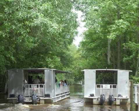 New Orleans Bayou Cajun Adventure Boat Tour