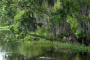 New Orleans Cajun Bayou Adventure Tour