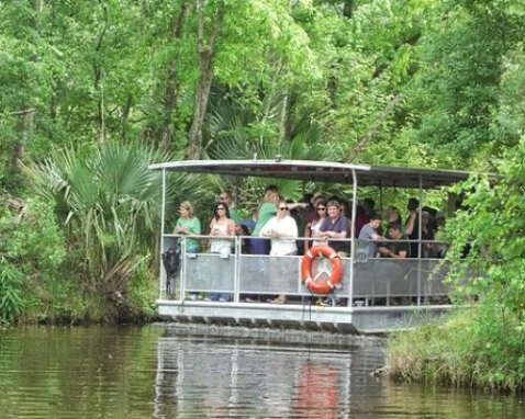 Louisiana Bayou Pontoon Boat Adventure Tour