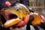 Jackson Hole Private Fly Fishing Adventure